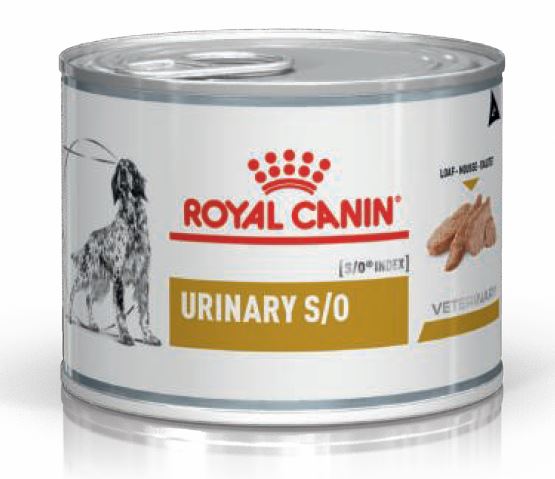 Royal Canin Urinary S/O Hund Mousse 12 Dosen je 200g günstig bei